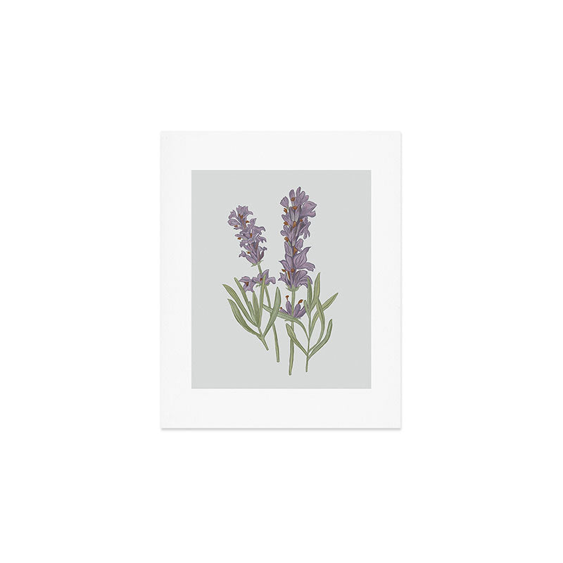 Lavender Flower Illustration Art Print Gallery Image 1