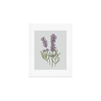 Lavender Flower Illustration Art Print Gallery Image 1