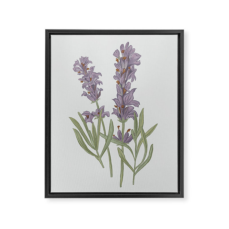 Lavender Flower Illustration Framed Canvas Print Gallery Image 6