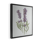 Lavender Flower Illustration Framed Canvas Print Gallery Image 2