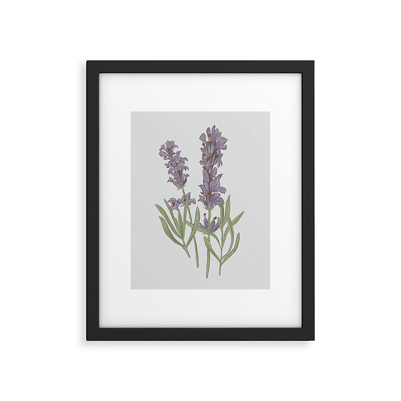 Lavender Flower Illustration Framed Art Print Gallery Image 5