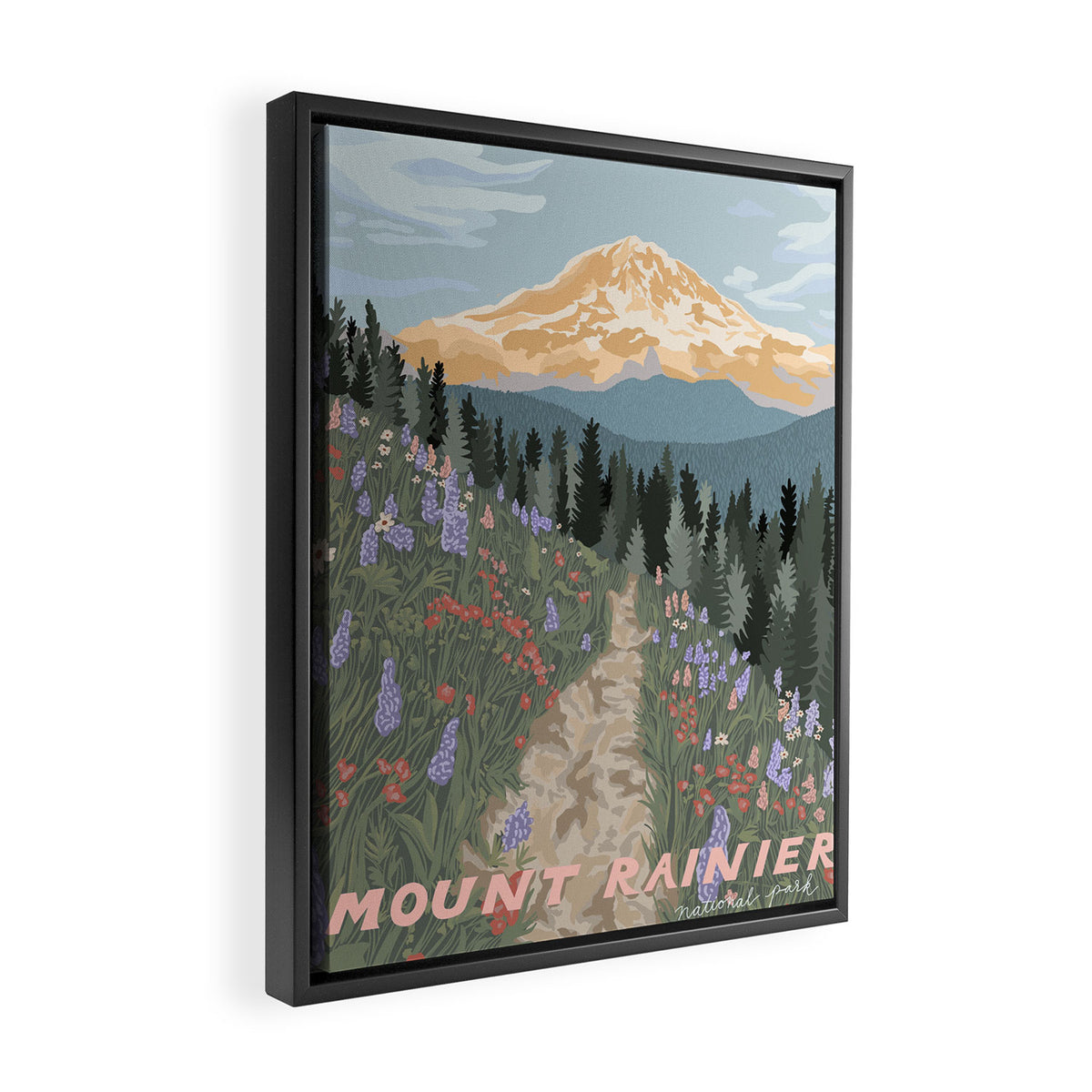 Mount Rainier National Park Framed Canvas Print Gallery Image 2