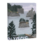Olympic National Park Poster, Washington, illustrated National Parks USA Canvas Print Gallery Image 6