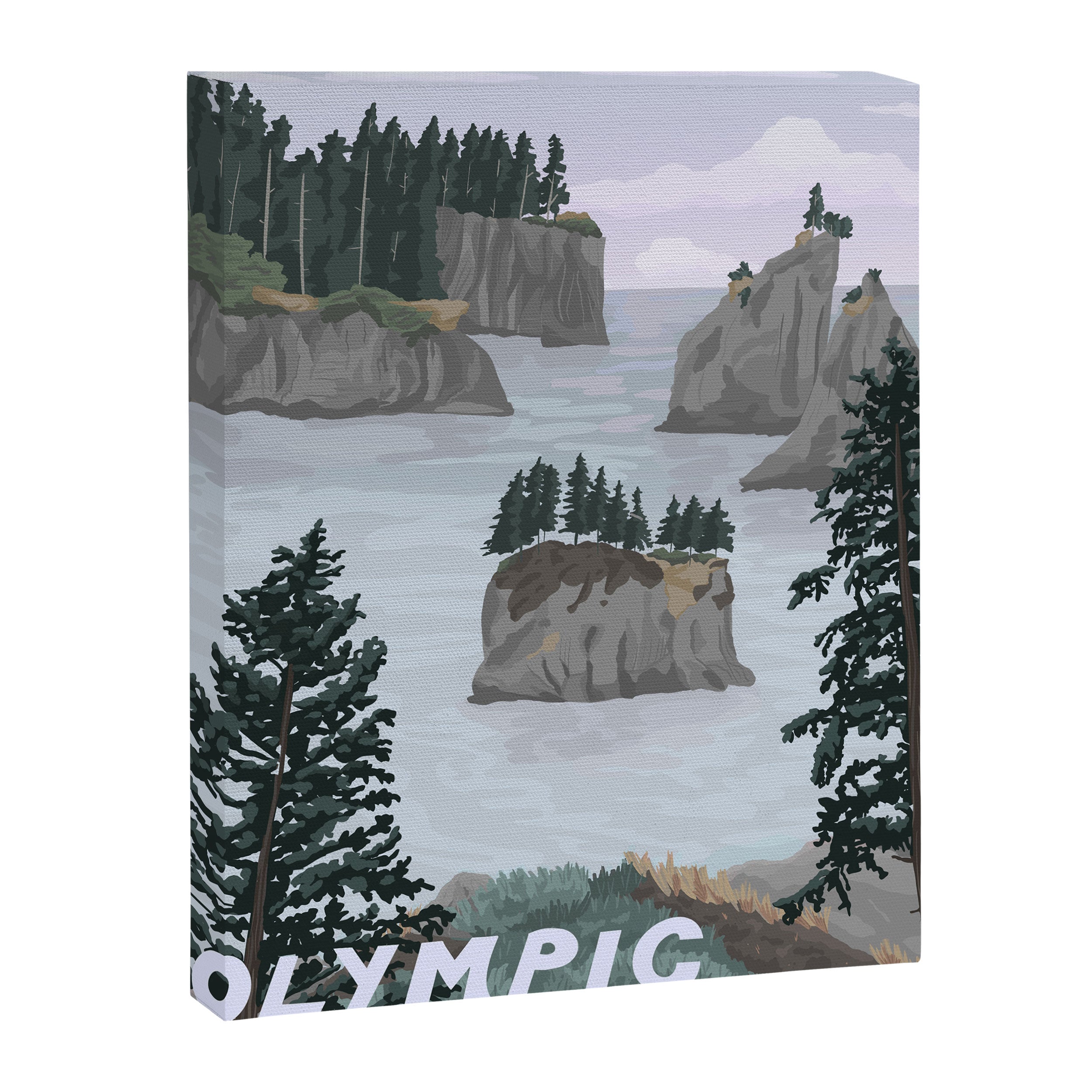 Olympic National Park Poster, Washington, illustrated National Parks USA Canvas Print Gallery Image 6