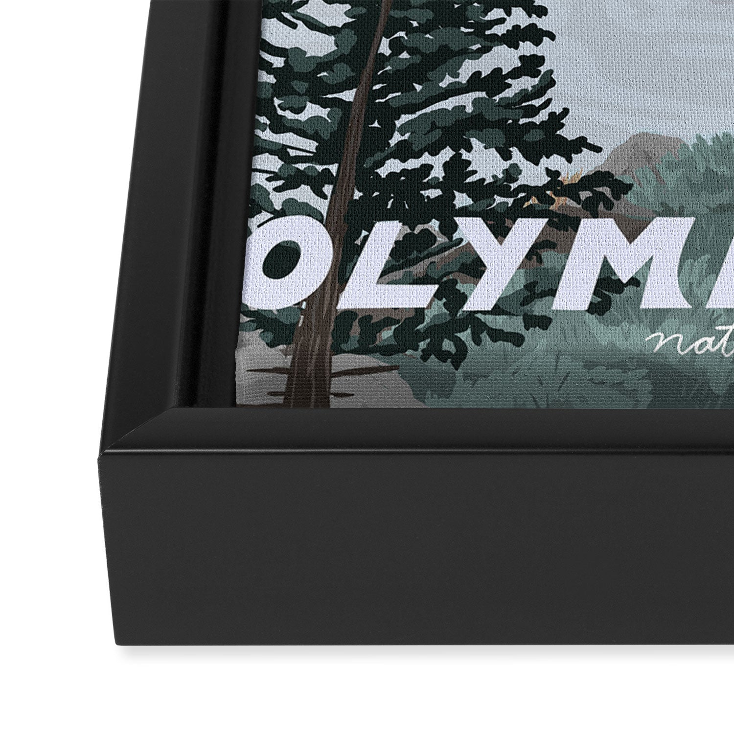 Olympic National Park Poster, Washington, illustrated National Parks USA Framed Canvas Print Gallery Image 3