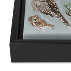 Owls Illustrated Chart Framed Canvas Print Gallery Image 3