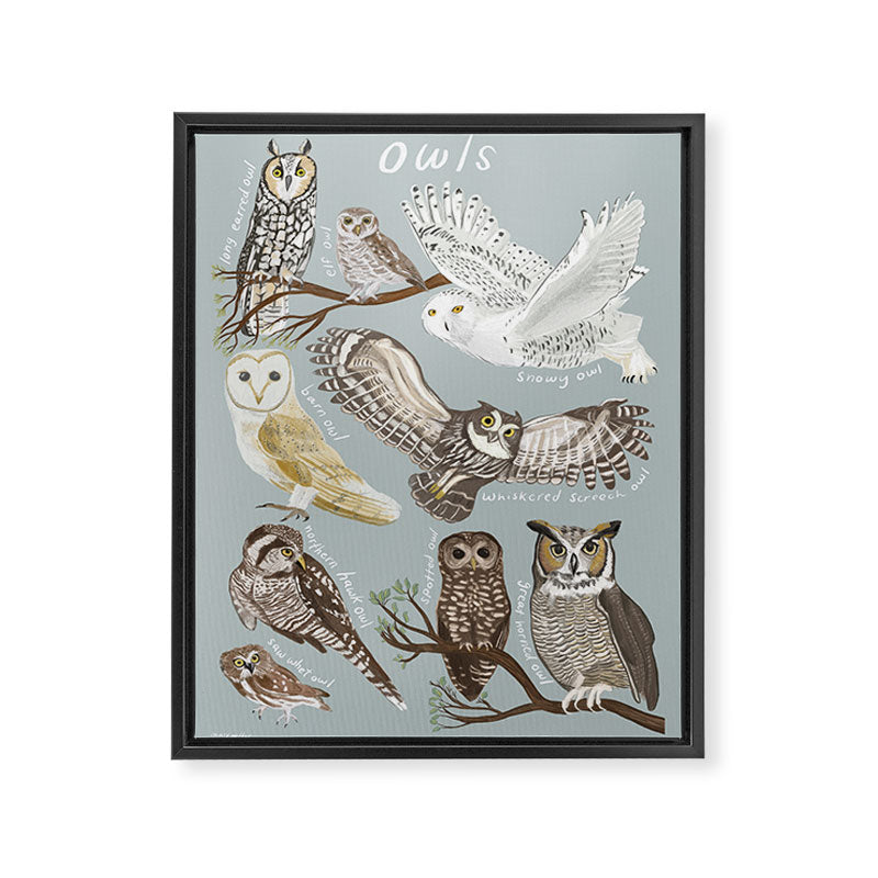 Owls Illustrated Chart Framed Canvas Print Gallery Image 6