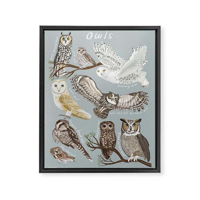 Owls Illustrated Chart Framed Canvas Print Gallery Image 1