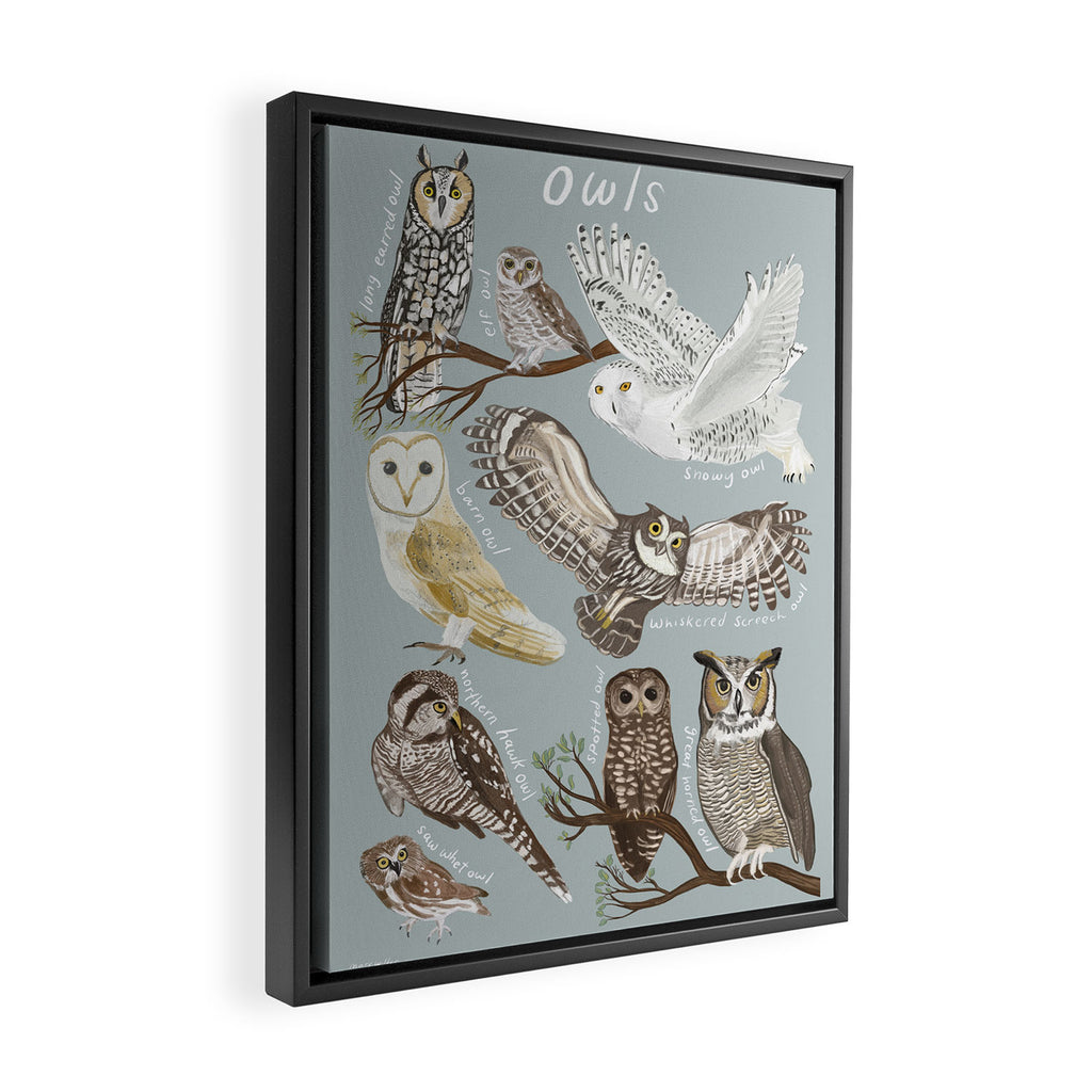 Owls Illustrated Chart Framed Canvas Print Gallery Image 2