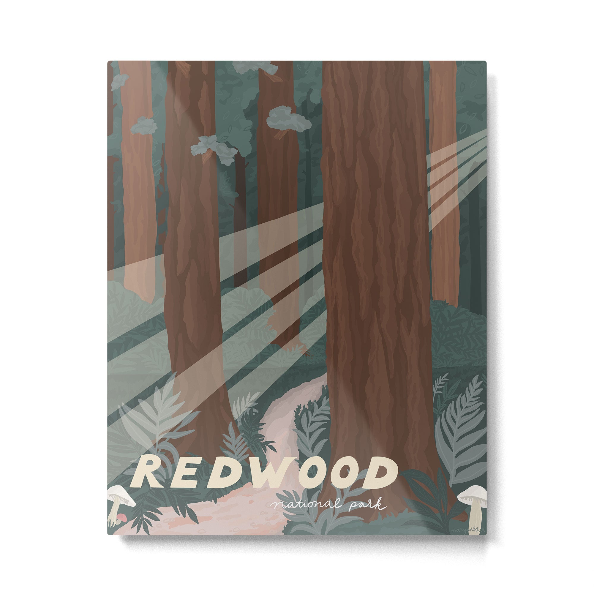 Redwood National Park Metal Print Gallery Image 4