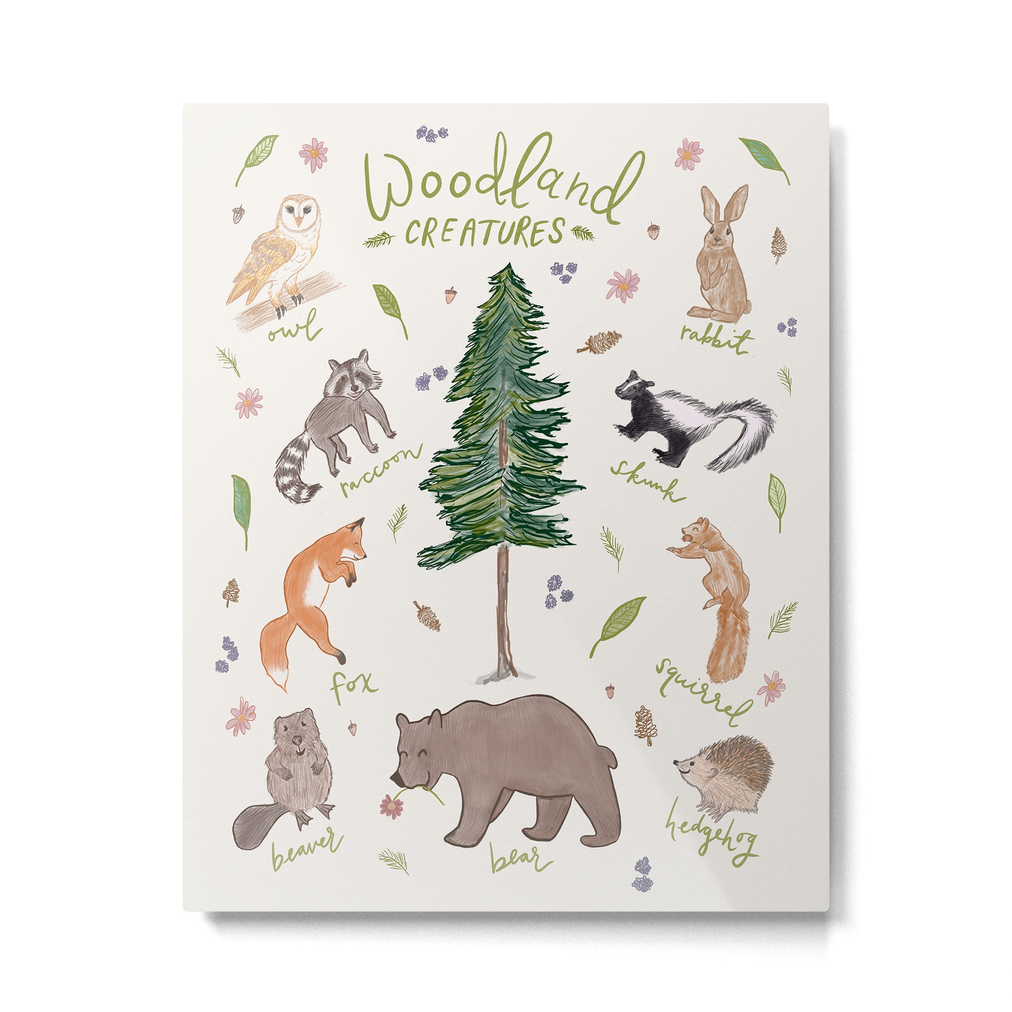 Woodland Creatures Chart Metal Print Gallery Image 4