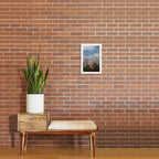 all the flowers are gone Art Print Gallery Image 2