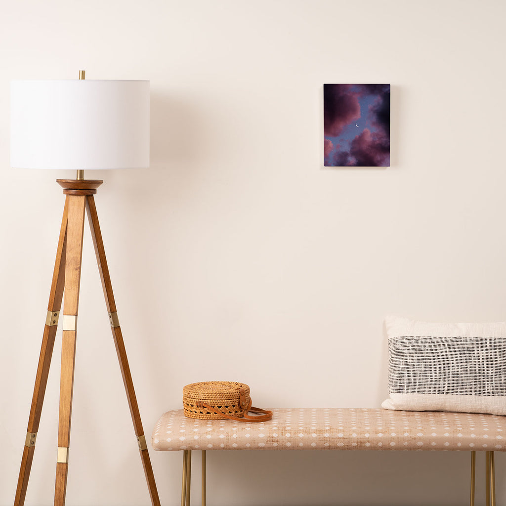 another one for the collection. Canvas Print Gallery Image 2