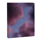 another one for the collection. Canvas Print Gallery Image 6