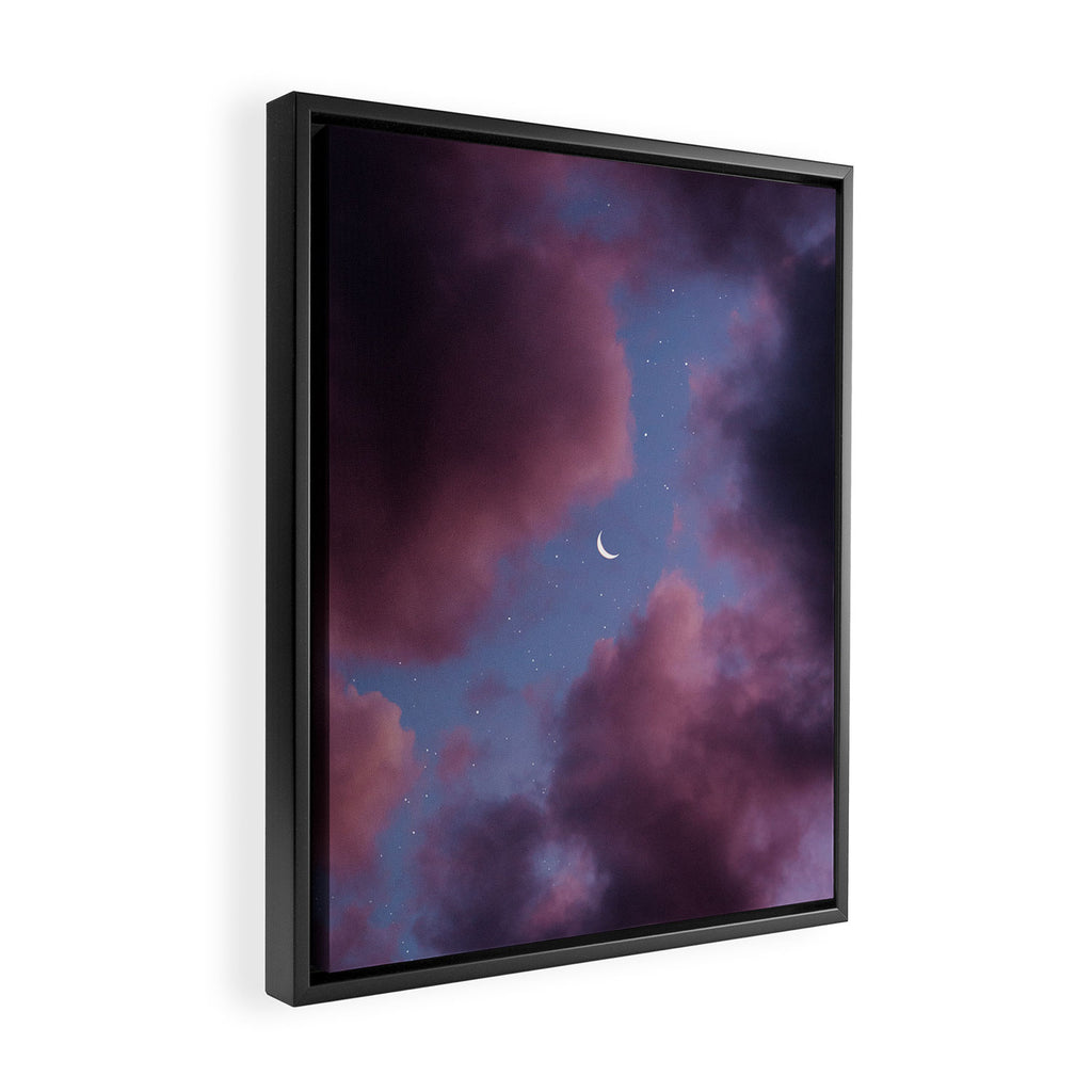 another one for the collection. Framed Canvas Print Gallery Image 2
