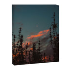 burn Canvas Print Gallery Image 6