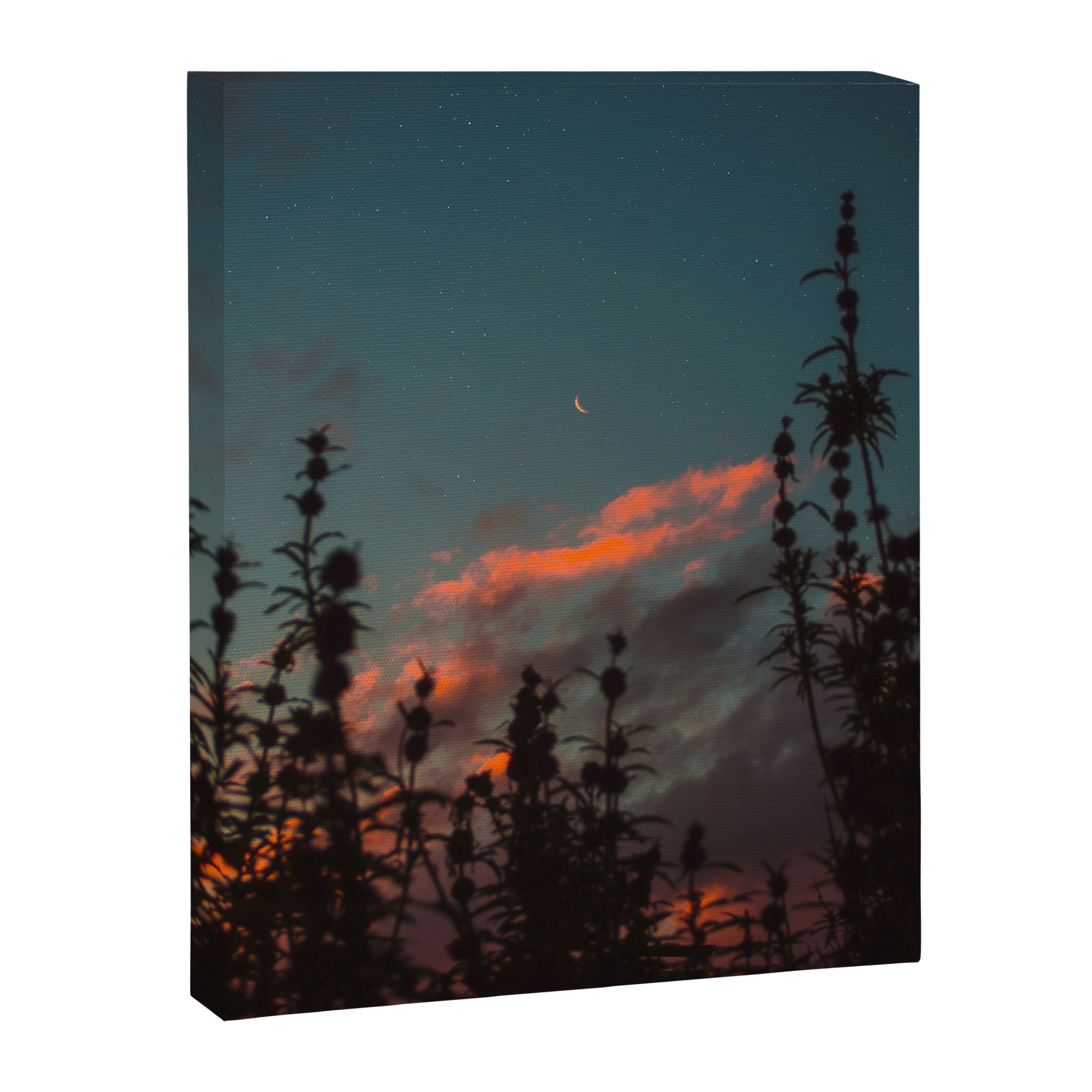 burn Canvas Print Gallery Image 6