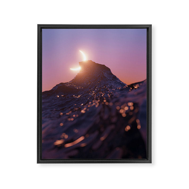 caught Framed Canvas Print Gallery Image 6