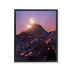 caught Framed Canvas Print Gallery Image 6