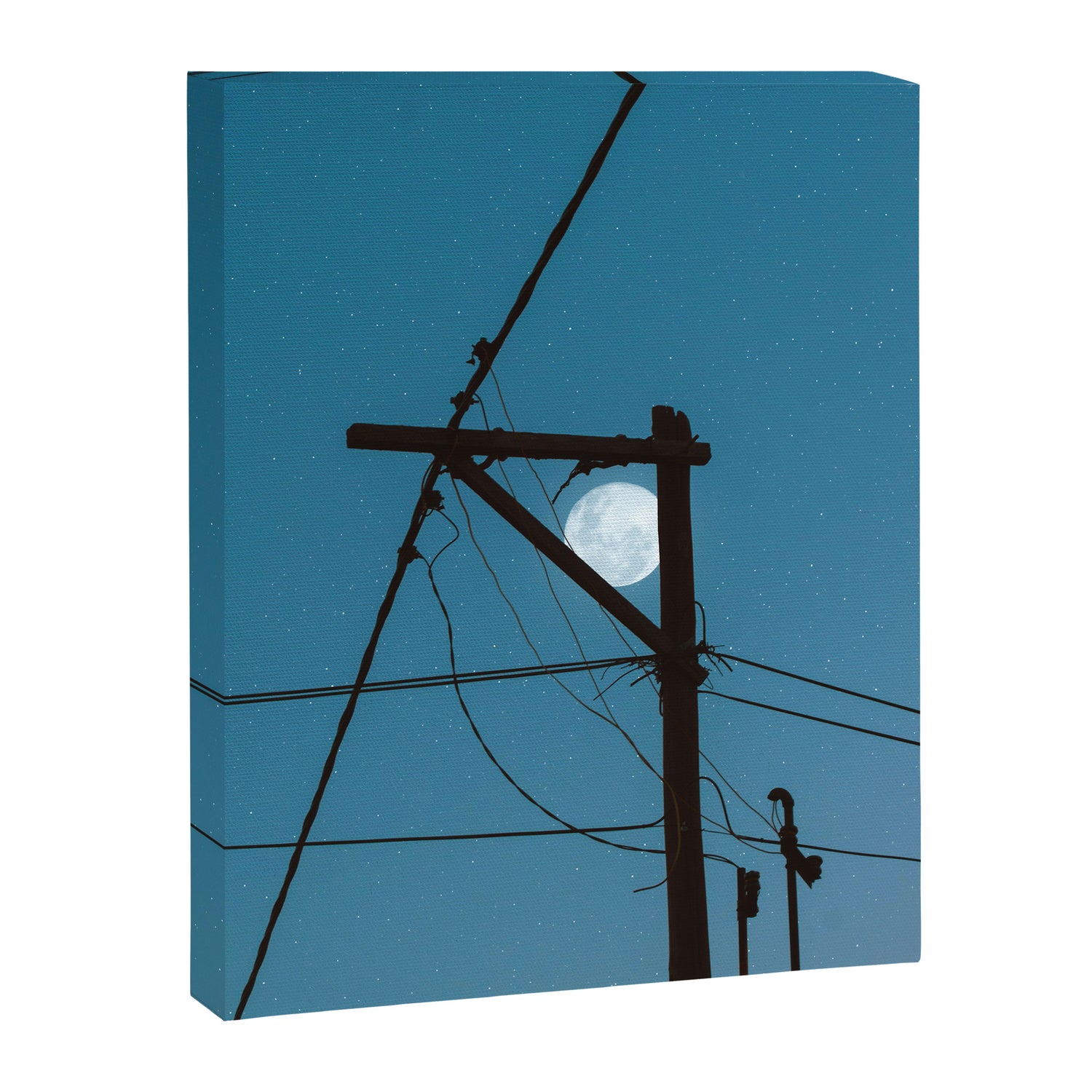 looking Canvas Print Gallery Image 6