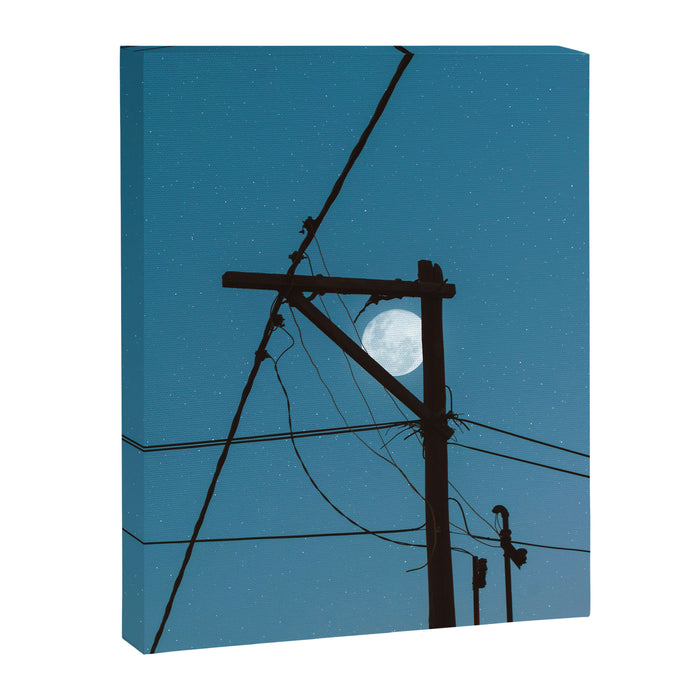 looking Canvas Print Gallery Image 1