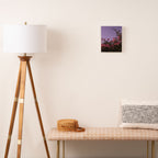 podranea ricasoliana Canvas Print Gallery Image 2