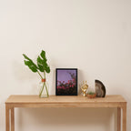 podranea ricasoliana Framed Canvas Print Gallery Image 4