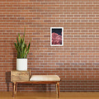 rebirth. Art Print Gallery Image 2