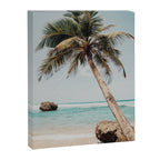 a palm tree ii Canvas Print Gallery Image 6
