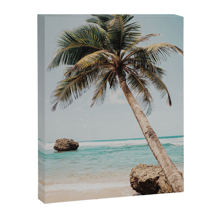 a palm tree ii Canvas Print Gallery Image 1