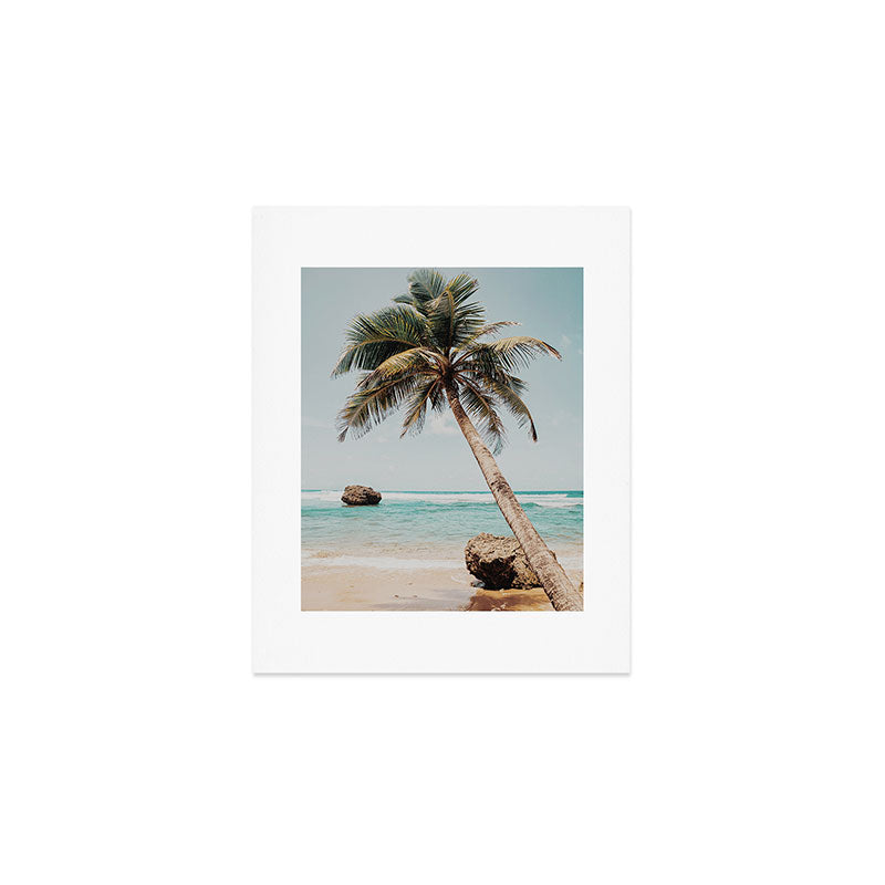 a palm tree ii Art Print Gallery Image 1