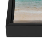 a palm tree ii Framed Canvas Print Gallery Image 3
