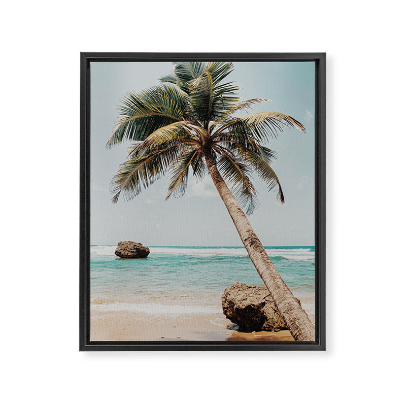 a palm tree ii Framed Canvas Print Gallery Image 6