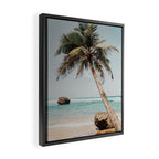 a palm tree ii Framed Canvas Print Gallery Image 2