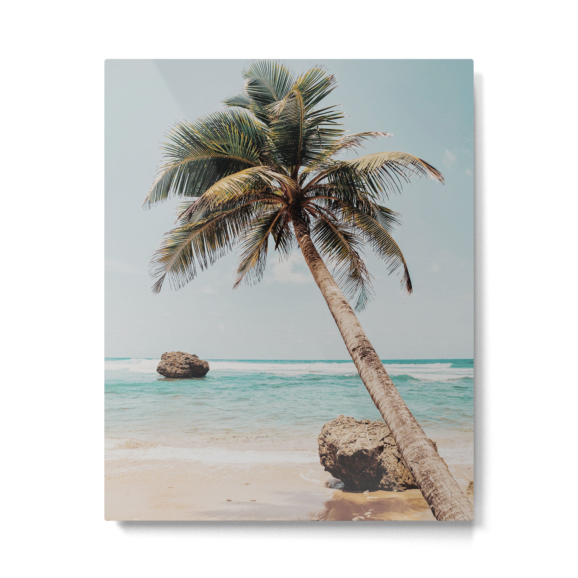 a palm tree ii Metal Print Gallery Image 4