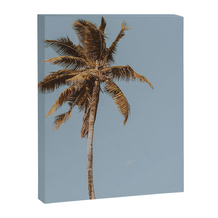 a palm tree iv Canvas Print Gallery Image 1