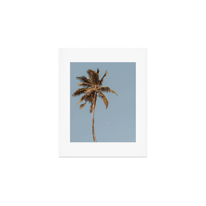 a palm tree iv Art Print Gallery Image 1