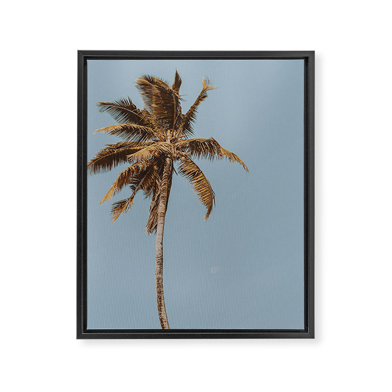 a palm tree iv Framed Canvas Print Gallery Image 6