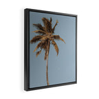 a palm tree iv Framed Canvas Print Gallery Image 2