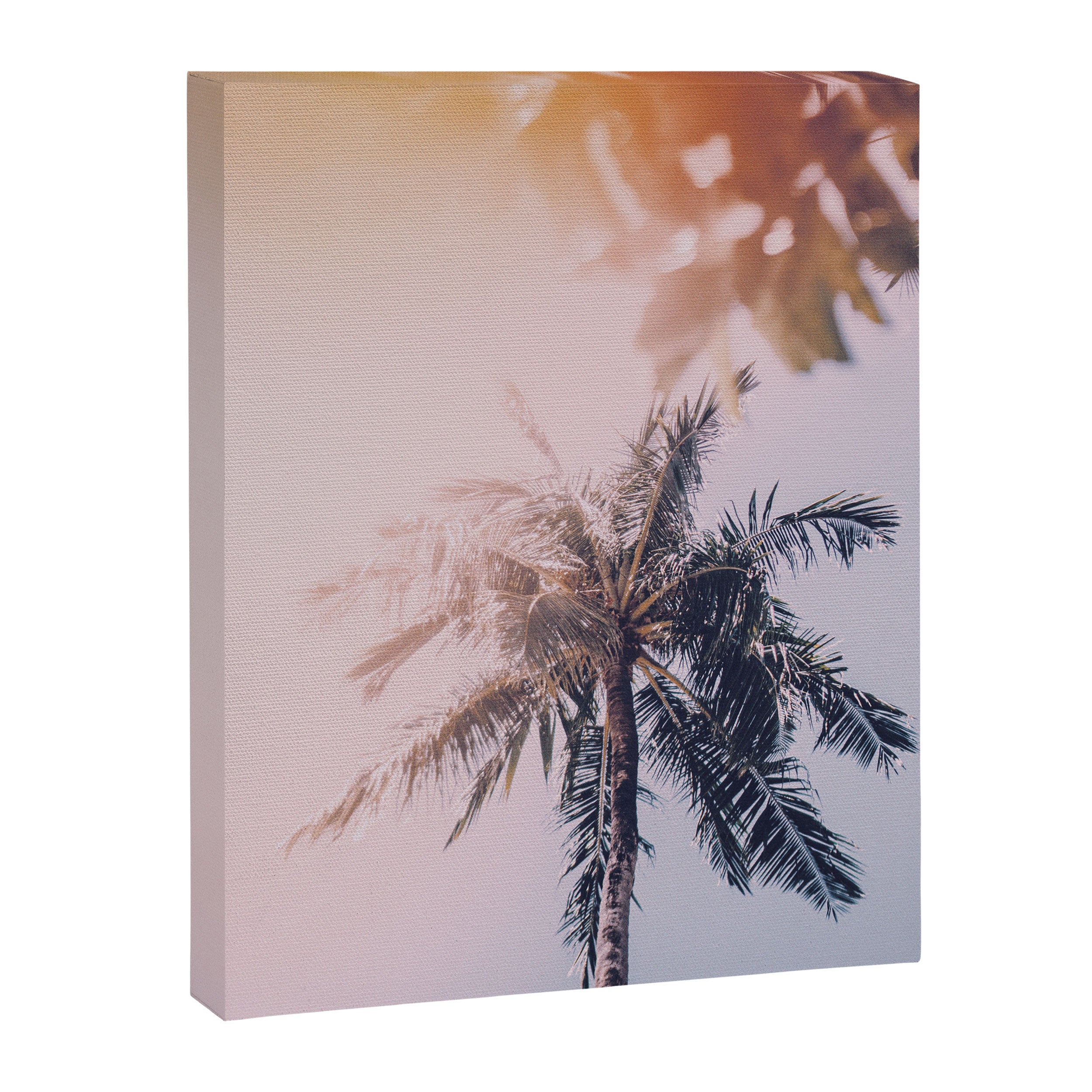 a palm tree ix Canvas Print Gallery Image 6