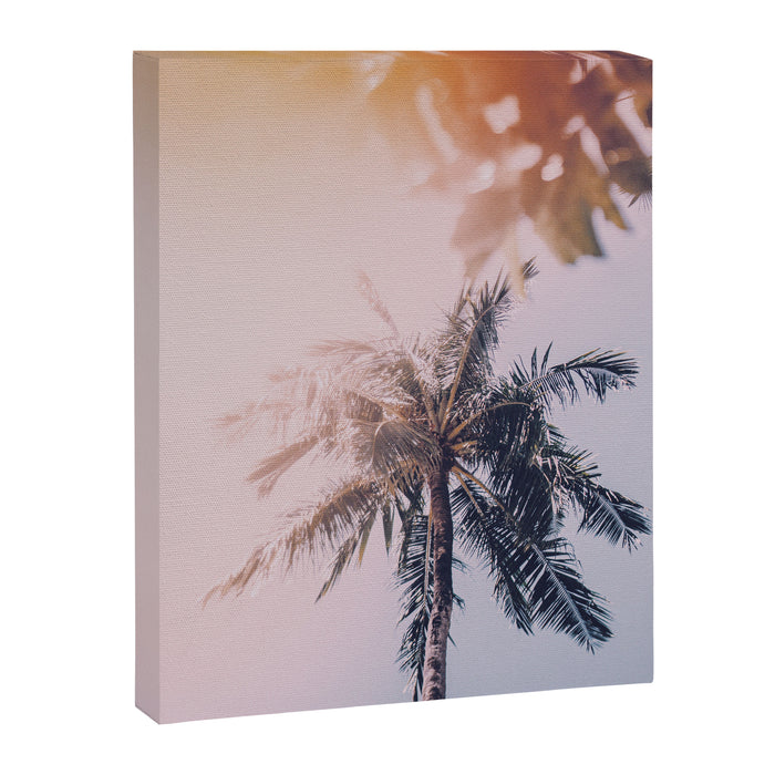 a palm tree ix Canvas Print Gallery Image 1