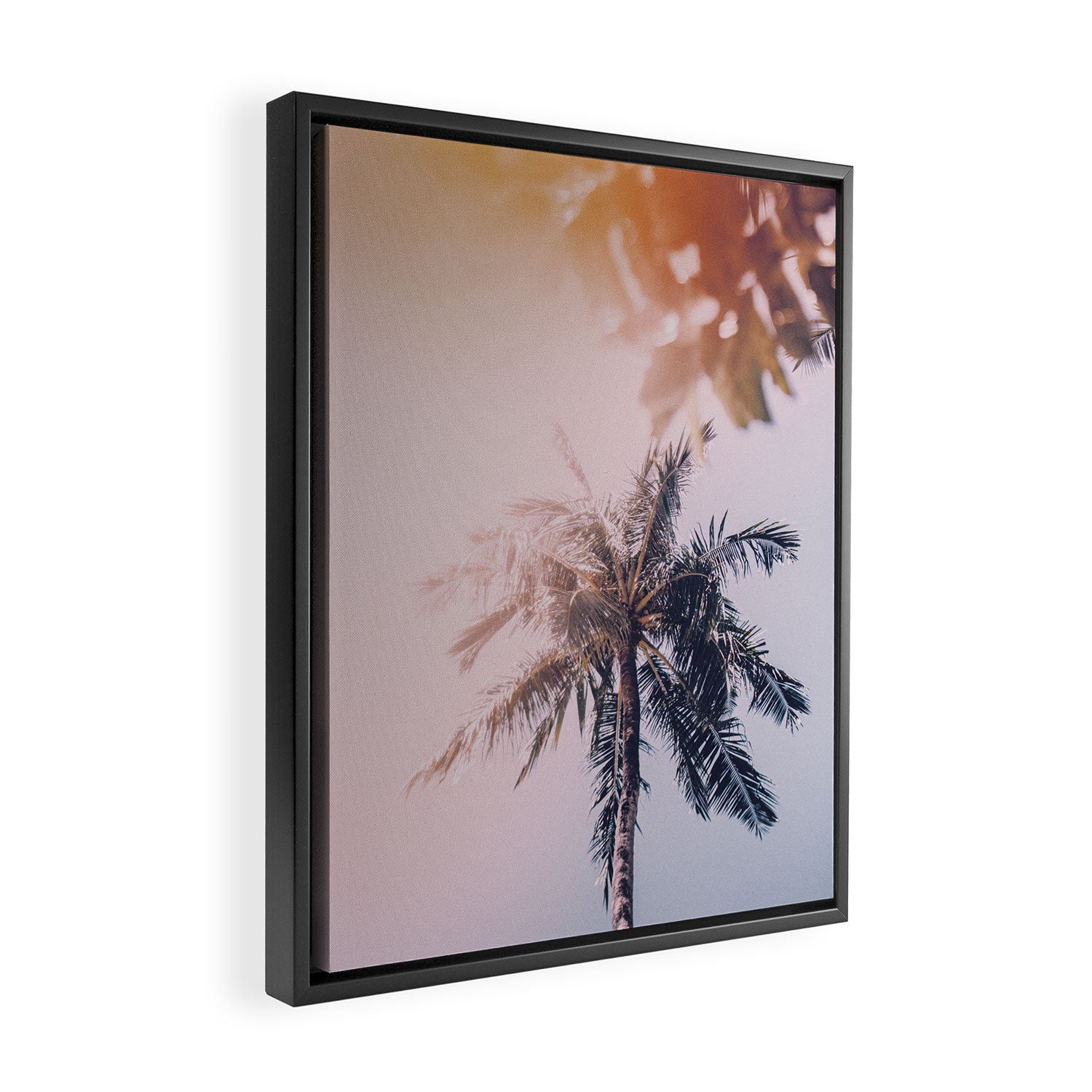 a palm tree ix Framed Canvas Print Gallery Image 2