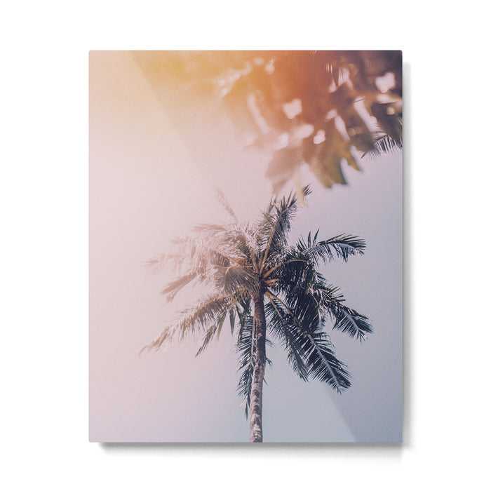 a palm tree ix Metal Print Gallery Image 1