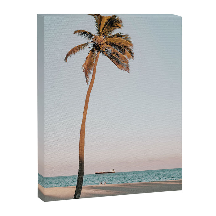 a palm tree vi - fort lauderdale florida Canvas Print Gallery Image 1