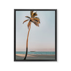a palm tree vi - fort lauderdale florida Framed Canvas Print Gallery Image 6