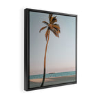 a palm tree vi - fort lauderdale florida Framed Canvas Print Gallery Image 2
