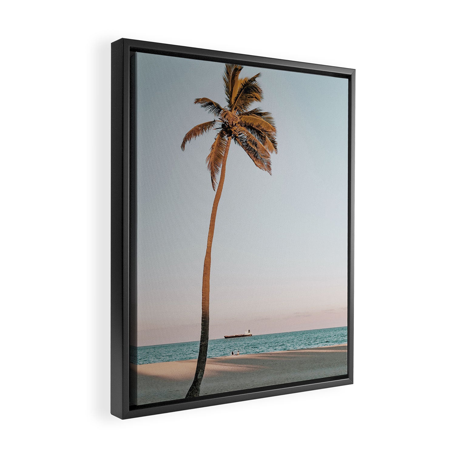 a palm tree vi - fort lauderdale florida Framed Canvas Print Gallery Image 2