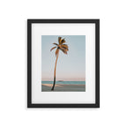 a palm tree vi - fort lauderdale florida Framed Art Print Gallery Image 5