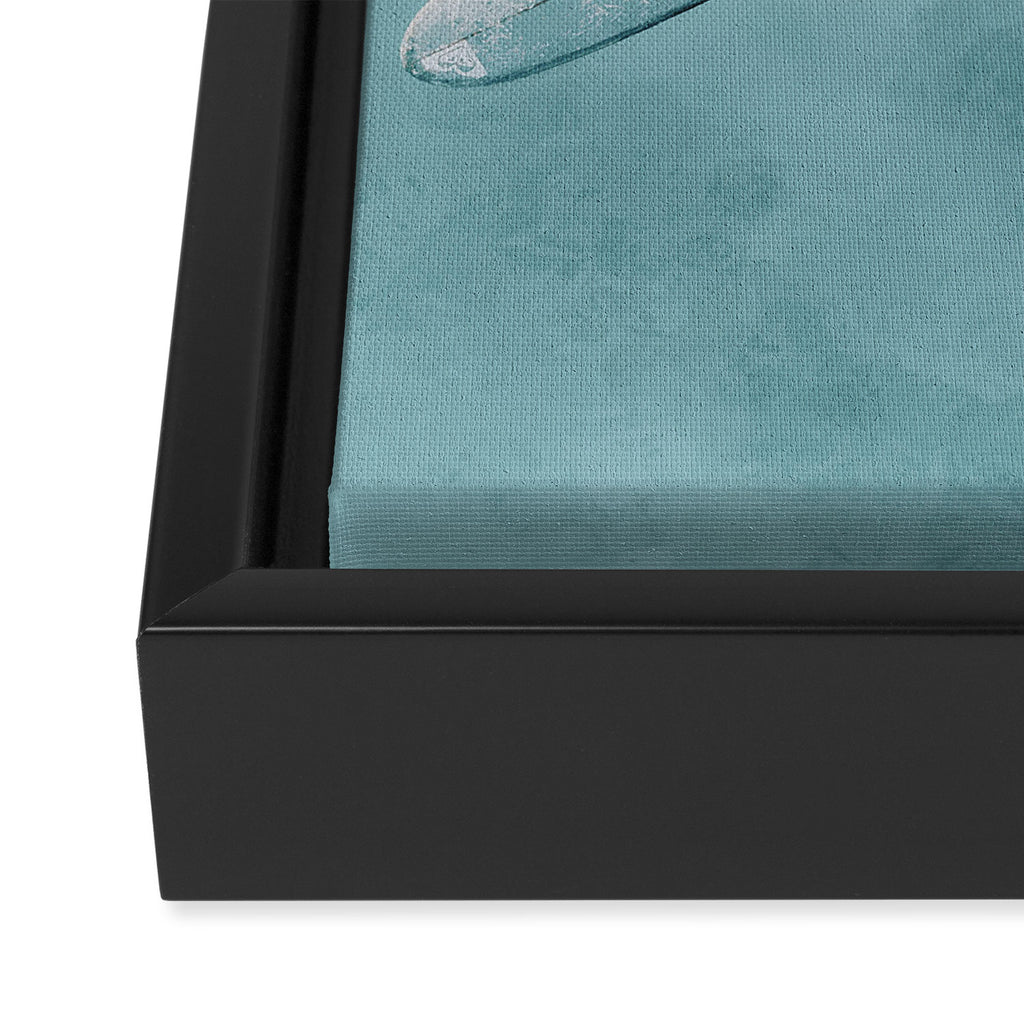 float xx Framed Canvas Print Gallery Image 3