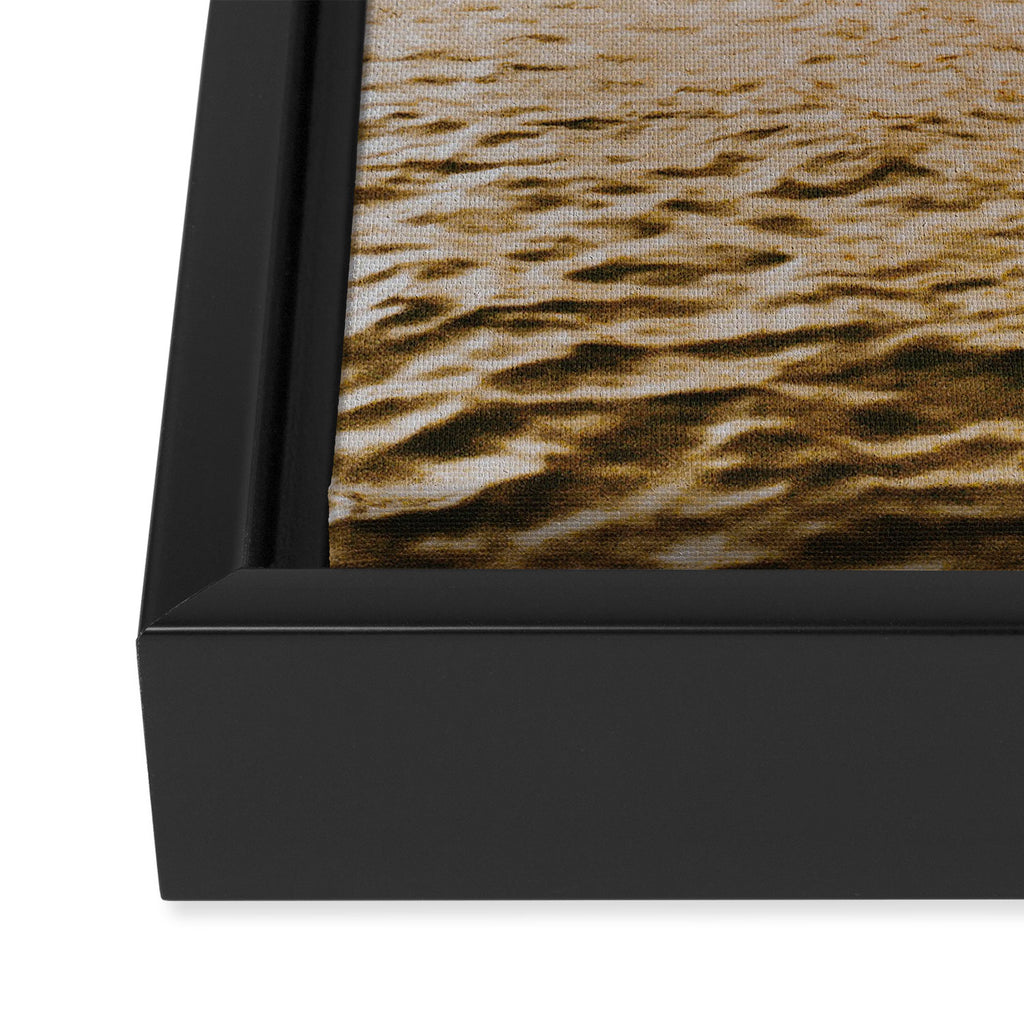 golden summer ii Framed Canvas Print Gallery Image 3